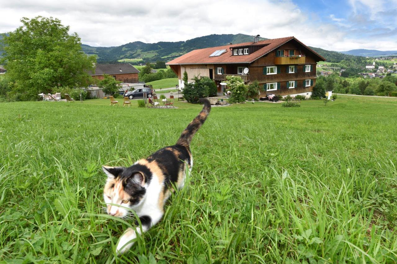 Familienbauernhof Koess Schertler Bed & Breakfast Egg Exterior photo